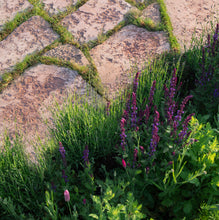 Load image into Gallery viewer, Öland red paving stone
